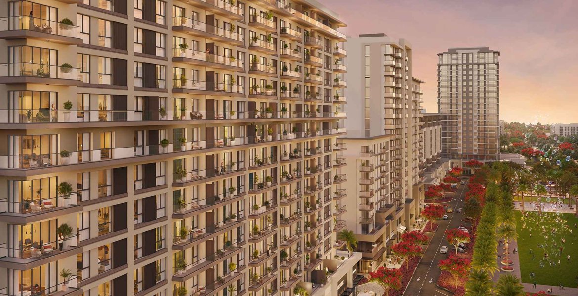 AYALA 4